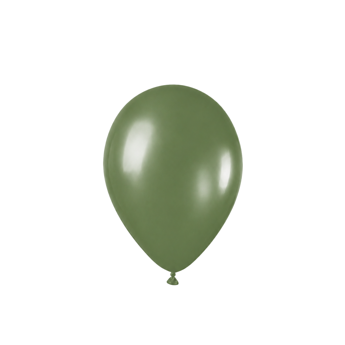 Eucalyptus 12" (30cm) | Pack of 100