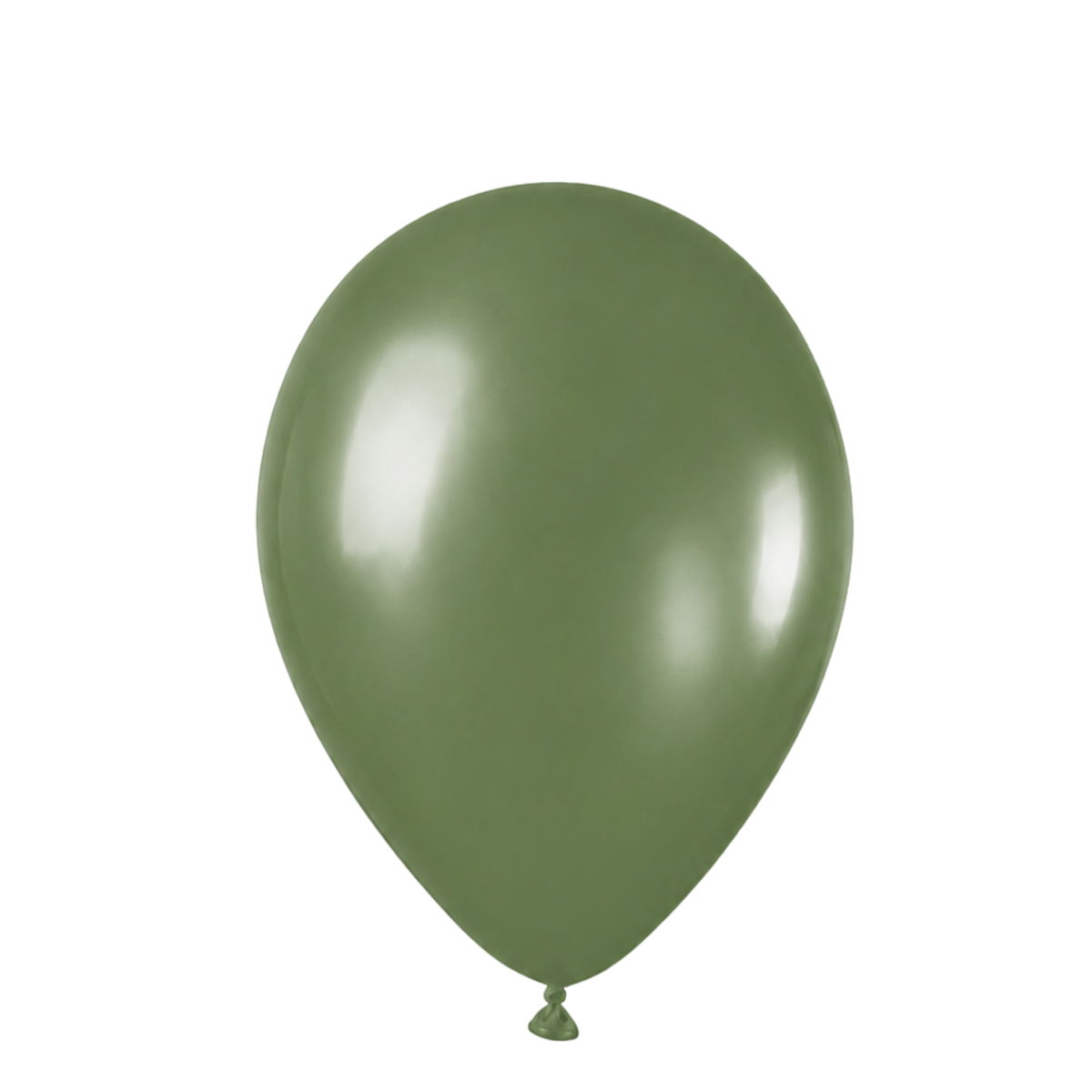 Eucalyptus 18" (45cm) | Pack of 25