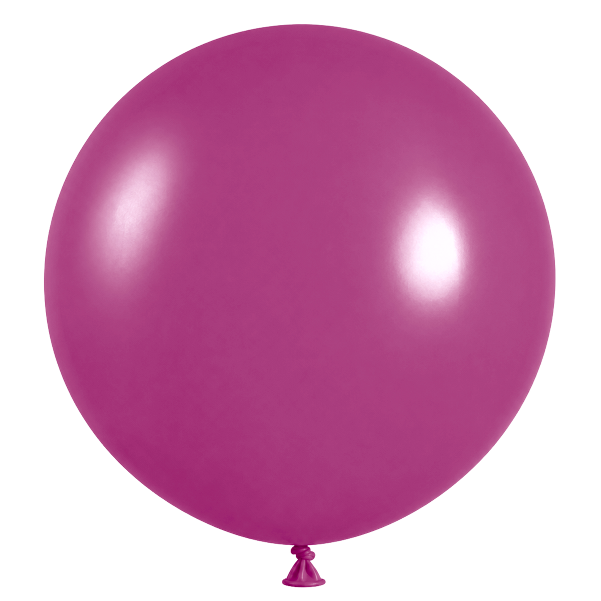 Boysenberry 36" (90cm) | Pack of 2