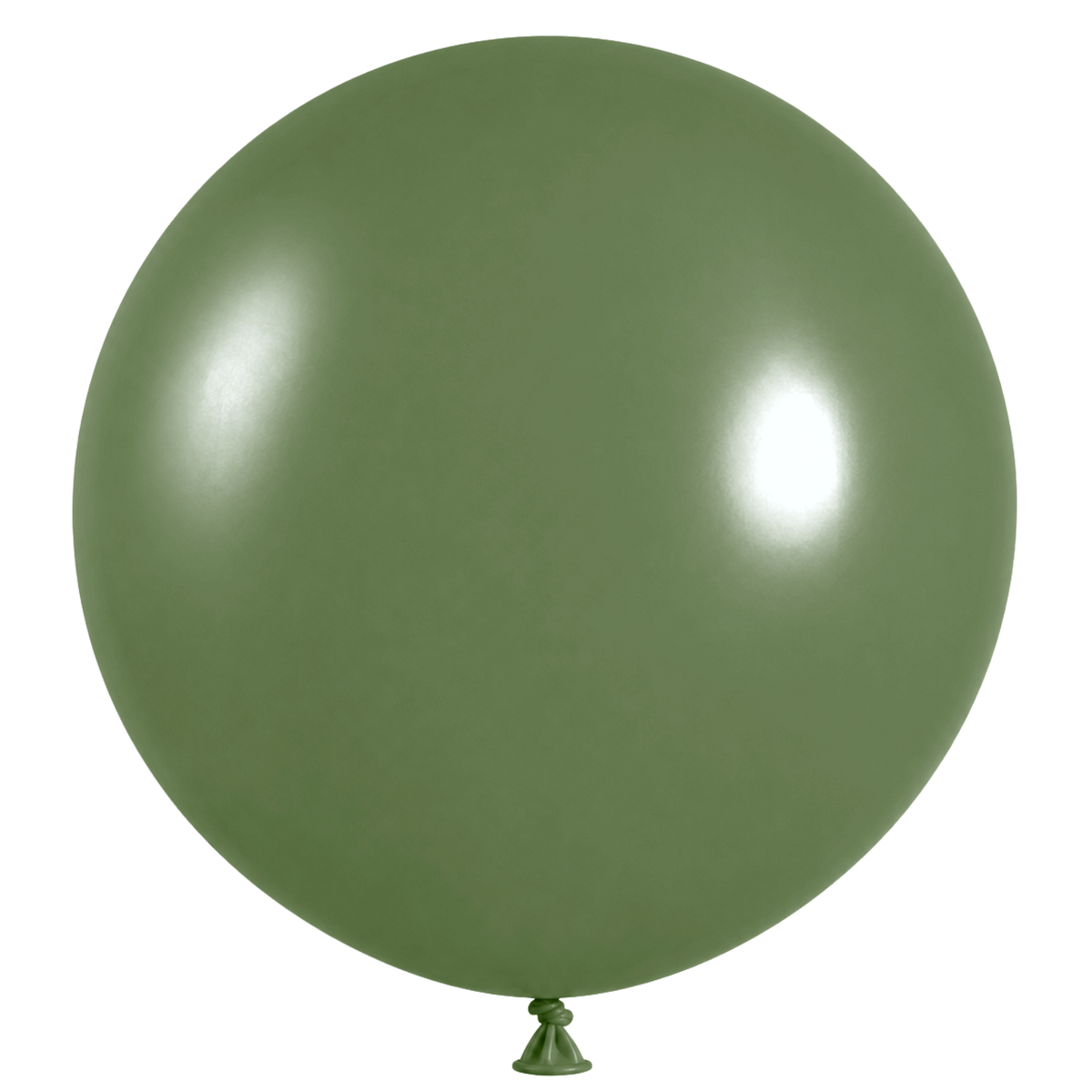 Eucalyptus 36" (90cm) | Pack of 2